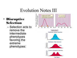 Evolution Notes III
• Disruptive
Selection
– Selection acts to
remove the
intermediate
phenotypes
favoring the
extreme
phenotypes:
 