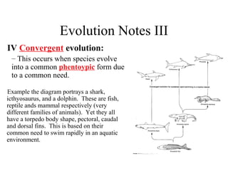 Evolution Notes III
IV Convergent evolution:
– This occurs when species evolve
into a common phentoypic form due
to a common need.
Example the diagram portrays a shark,
icthyosaurus, and a dolphin. These are fish,
reptile ands mammal respectively (very
different families of animals). Yet they all
have a torpedo body shape, pectoral, caudal
and dorsal fins. This is based on their
common need to swim rapidly in an aquatic
environment.
 