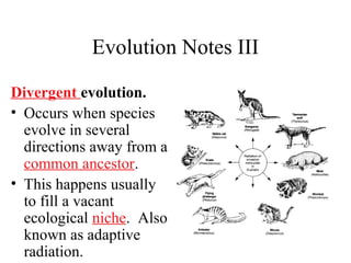 Evolution Notes III
Divergent evolution.
• Occurs when species
evolve in several
directions away from a
common ancestor.
• This happens usually
to fill a vacant
ecological niche. Also
known as adaptive
radiation.
 