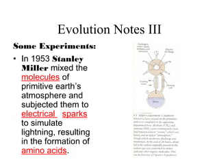 Evolution Notes III
Some Experiments:
• In 1953 Stanley
Miller mixed the
molecules of
primitive earth’s
atmosphere and
subjected them to
electrical sparks
to simulate
lightning, resulting
in the formation of
amino acids.
 