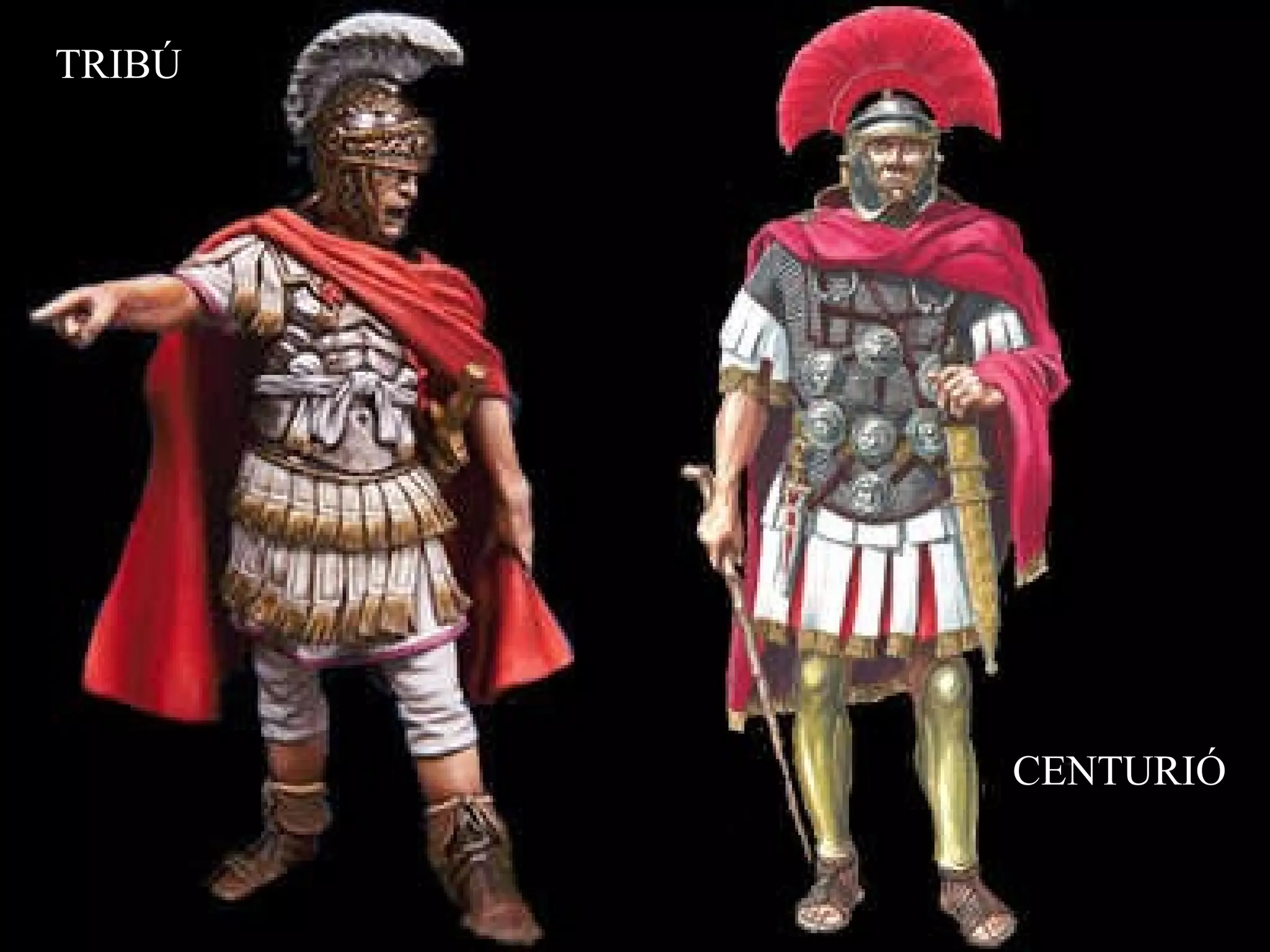 TRIBÚ CENTURIÓ 
