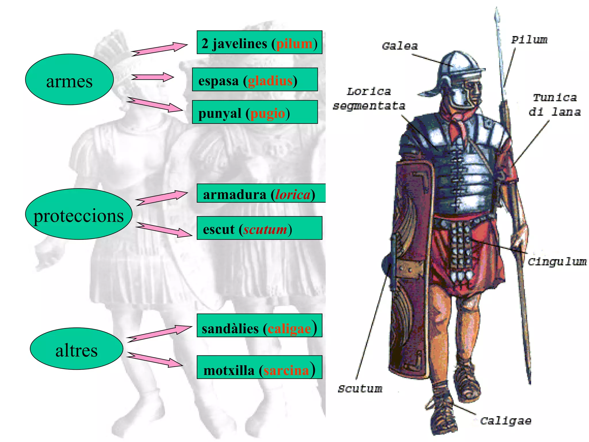 armes 2 javelines ( pilum ) espasa ( gladius ) punyal ( pugio ) armadura ( lorica ) escut ( scutum ) sandàlies ( caligae ) proteccions altres motxilla ( sarcina ) L’equipament del legionari 