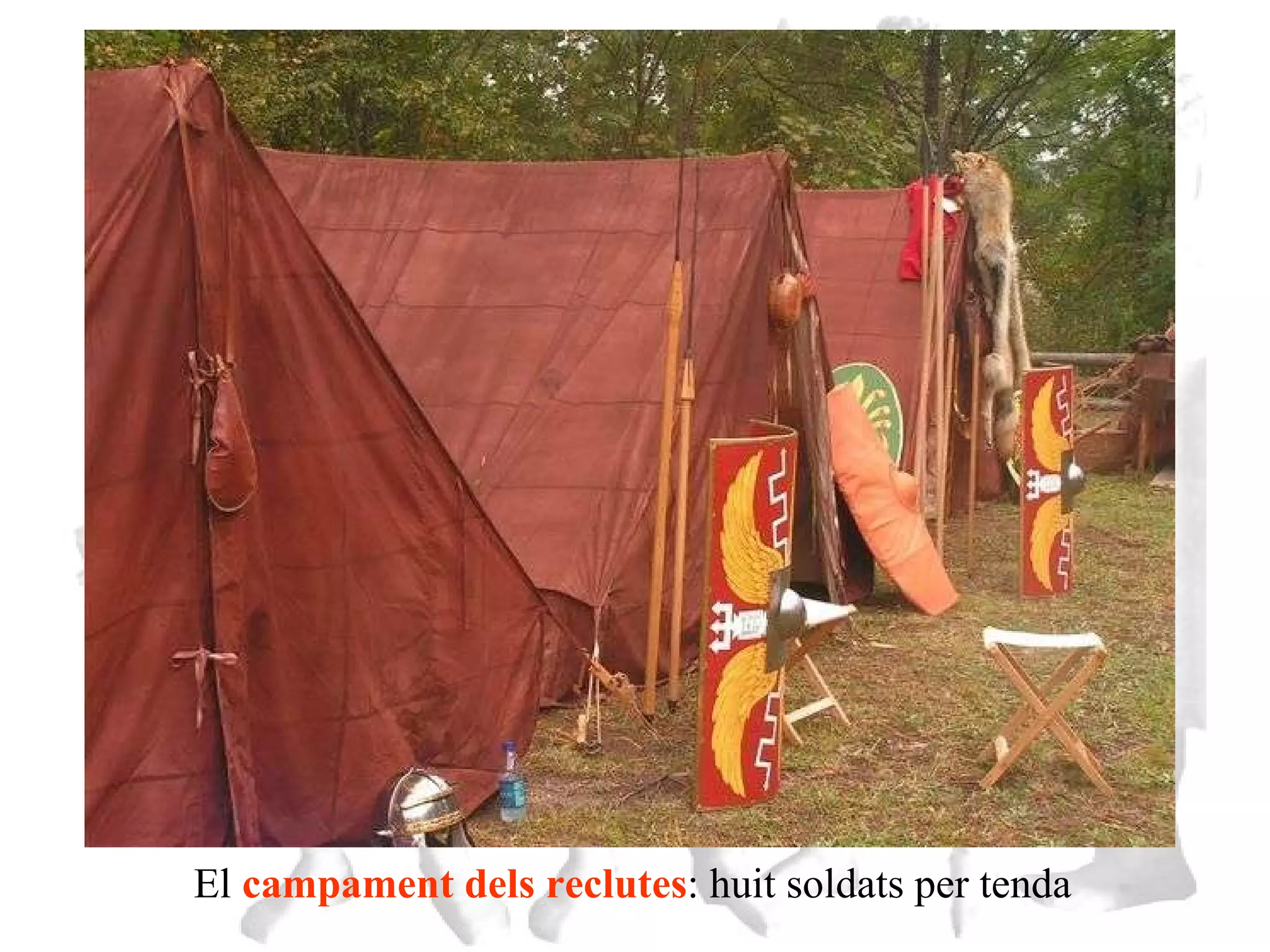 El  campament dels reclutes : huit soldats per tenda 