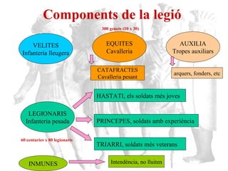 Components de la legió VELITES Infanteria lleugera EQUITES Cavalleria LEGIONARIS Infanteria pesada AUXILIA Tropes auxiliars HASTATI, els soldats més joves PRINCEPES, soldats amb experiència TRIARRI, soldats més veterans  300 genets (10 x 30) 60 centuries x 80 legionaris CATAFRACTES Cavalleria pesant INMUNES Intendència, no lluiten arquers, fonders, etc 