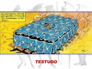 TESTUDO 