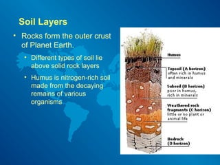 Soil Layers
• Rocks form the outer crust
of Planet Earth.
• Different types of soil lie
above solid rock layers
• Humus is nitrogen-rich soil
made from the decaying
remains of various
organisms
 