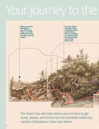 6 University of Arizona
Your journey to the
When you enter
Biosphere 2
you will travel
new, accessible
pathways across
an open, airy fog
desert.
You’ll go down
through a thick
mangrove forest
and wetland,
before emerging
on a perch above
the deep pelagic
zone of the
Desert Sea.
The Desert Sea will invite visitors and scientists to get
closer, deeper, and further into the incredible wilderness
habitats of Biosphere 2 than ever before.
6
 