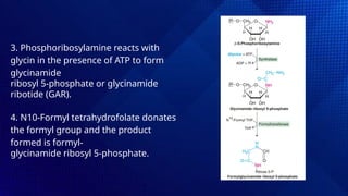 Formylglycinamide Ribotide BIOSYNTHESIS OF PURINES AND PYRIMIDINES. | PPTX