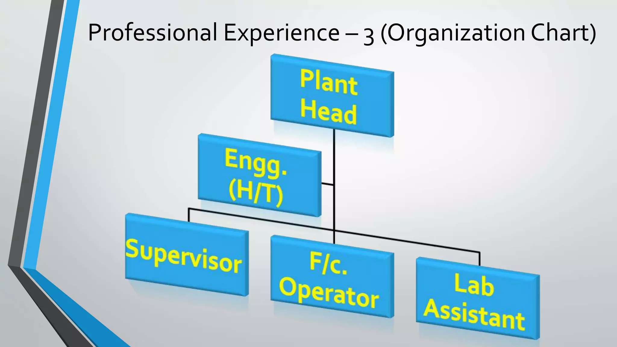 Professional Experience – 3 (Organization Chart)
 