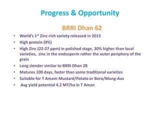 BRRI Dhan 62
• World’s 1st Zinc-rich variety released in 2013
• High protein (9%)
• High Zinc (22-27 ppm) in polished stage, 30% higher than local
varieties, zinc in the endosperm rather the outer periphery of the
grain
• Long slender similar to BRRI Dhan 28
• Matures 100 days, faster than some traditional varieties
• Suitable for T Amam-Mustard/Potato or Boro/Mung-Aus
• Avg yield potential 4.2 MT/ha in T Aman
Progress & Opportunity
 