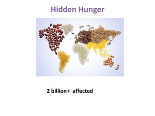 Hidden Hunger
2 billion+ affected
 