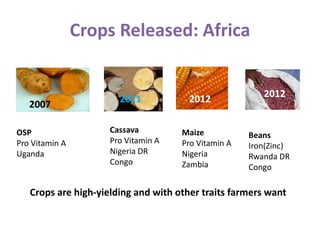 Crops Released: Africa
2007
2011 2012
2012
OSP
Pro Vitamin A
Uganda
Cassava
Pro Vitamin A
Nigeria DR
Congo
Maize
Pro Vitamin A
Nigeria
Zambia
Beans
Iron(Zinc)
Rwanda DR
Congo
Crops are high-yielding and with other traits farmers want
 