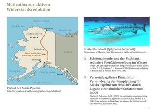 5
Schleimabsonderung der Fischhaut 
reduziert Oberflächenreibung im Wasser
[Hoyt, J. W. (1975) Hydrodynamic drag reduction due to fish slimes. 
In: Wu, T. Y. T., Brokaw, C. J., Brennen, C. (Ed.) Swimming and flying
in Nature, Vol. 2. Plenum, New York, USA]
Verwendung dieses Prinzips zur 
Verminderung der Pumpleistung für 
Alaska‐Pipeline um etwa 30% durch 
Zugabe einer ähnlichen Substanz zum 
Rohöl
[Motier, J. F., Carrier, A. M. (1989) Recent studies on polymer drag 
reduction in commercial pipelines. In: Sellin, R. H. J., Moses, R. T. 
(Ed.) Drag reduction in fluid flows: techniques for friction control. 
Ellis Horwood, Chichester, UK]
Verlauf der Alaska Pipeline.  
[http://www.pbs.org/wgbh/amex/pipeline/map/index.html]
Großer Barrakuda (Sphyraena barracuda).  
[Department of Chemistry and Biochemistry, California State University]
Motivation zur aktiven 
Widerstandsreduktion
 