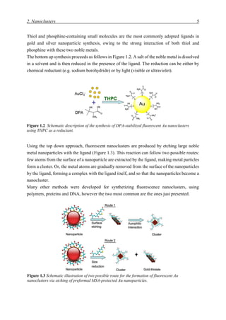 2. Nanoclusters 5
Thiol and phosphine-containing small molecules are the most commonly adopted ligands in
gold and silver nanoparticle synthesis, owing to the strong interaction of both thiol and
phosphine with these two noble metals.
The bottom up synthesis proceeds as follows in Figure 1.2. A salt of the noble metal is dissolved
in a solvent and is then reduced in the presence of the ligand. The reduction can be either by
chemical reductant (e.g. sodium borohydride) or by light (visible or ultraviolet).
Figure 1.2 Schematic description of the synthesis of DPA-stabilized fluorescent Au nanoclusters
using THPC as a reductant.
Using the top down approach, fluorescent nanoclusters are produced by etching large noble
metal nanoparticles with the ligand (Figure 1.3). This reaction can follow two possible routes:
few atoms from the surface of a nanoparticle are extracted by the ligand, making metal particles
form a cluster. Or, the metal atoms are gradually removed from the surface of the nanoparticles
by the ligand, forming a complex with the ligand itself, and so that the nanoparticles become a
nanocluster.
Many other methods were developed for synthetizing fluorescence nanoclusters, using
polymers, proteins and DNA, however the two most common are the ones just presented.
Figure 1.3 Schematic illustration of two possible route for the formation of fluorescent Au
nanoclusters via etching of preformed MSA-protected Au nanoparticles.
 