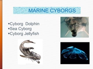 MARINE CYBORGS
Cyborg Dolphin
Sea Cyborg
Cyborg Jellyfish
 