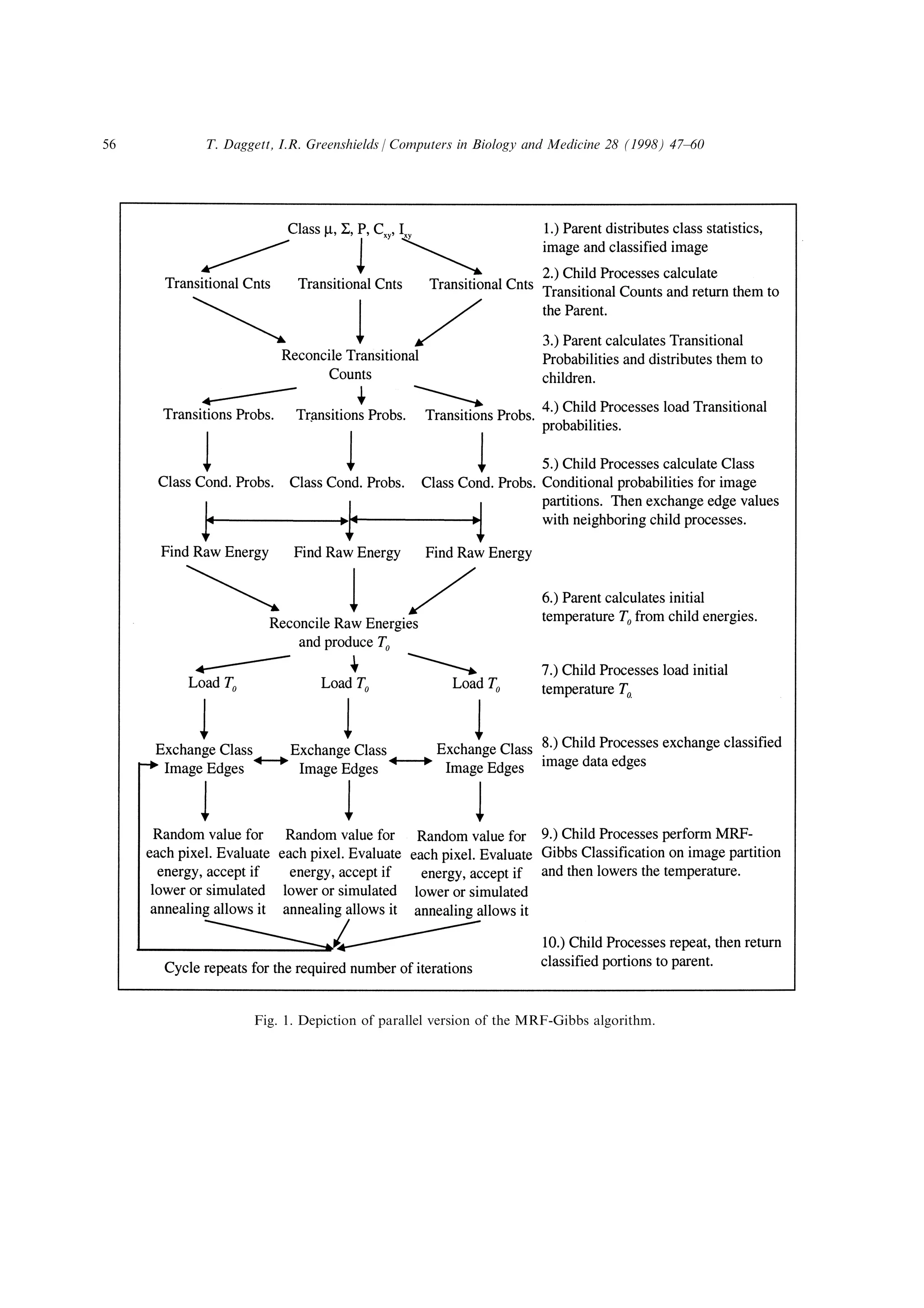 Fig. 1. Depiction of parallel version of the MRF-Gibbs algorithm.
T. Daggett, I.R. Greenshields / Computers in Biology and Medicine 28 (1998) 47±6056
 