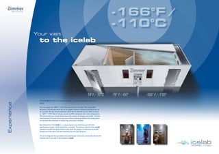 icelab Brochure USmail | PDF