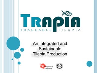 An Integrated and
Sustainable
Tilapia Production
 