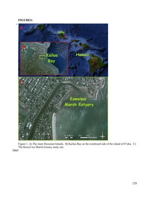 FIGURES:
Figure 1. A) The main Hawaiian Islands. B) Kailua Bay on the windward side of the island of O’ahu. C)
The Kawai’nui Marsh Estuary study site.
128
3055
3060
 