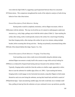 were relatively high (Table 5), suggesting a good agreement between these two concurrent
observations. This comparison strengthened the results of the subjective analysis of turtle diving
behavior from video observations.
General Description of Turtle Behaviors: Resting
Resting turtles would lie completely motionless, with no flipper movement, while in
contact with the substrate. This may involved the use of a natural or anthropogenic underwater
structure (e.g., rocky ledge, garbage can) to hold the turtle in place (Table 2). Upon reaching the
surface after resting, turtles would typically remain at the surface for a much longer breathing
bout than foraging turtles, often staying at the surface for up to two minutes, taking multiple
breaths, before resuming their diving activities. Resting was primarily concentrated along either
side of the channel habitat (the ledge; Figures 11a, 12a).
General Description of Turtle Behaviors: Foraging / Food Searching
Food searching occurs when a turtle moves horizontally along the substrate using
minimal flipper movements to steady itself in the current or surge while actively looking for
food, as evidenced by frequent head turning and eyes focused on the substrate (Table 2).
Typically, foraging turtles would dive from the surface at a shallow angle, apparently to allow
them to scan the substrate for suitable algae (Glen et al. 2001). Upon reaching the bottom,
foraging turtles would engage in slow horizontal movements, using their flippers to both steady
themselves and even crawl along the substrate, moving their heads back and forth in search of
preferred algae. Upon encountering suitable algae, the turtle would take one or multiple small
bites, pulling its head up from the substrate as its jaw continued to move up and down, possibly
168
3875
3880
3885
3890
3895
 
