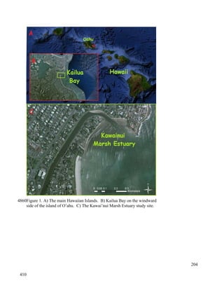 Figure 1. A) The main Hawaiian Islands. B) Kailua Bay on the windward
side of the island of O’ahu. C) The Kawai’nui Marsh Estuary study site.
204
4860
410
 