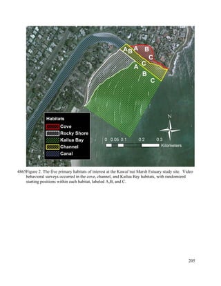 Figure 2. The five primary habitats of interest at the Kawai’nui Marsh Estuary study site. Video
behavioral surveys occurred in the cove, channel, and Kailua Bay habitats, with randomized
starting positions within each habitat, labeled A,B, and C.
205
4865
 