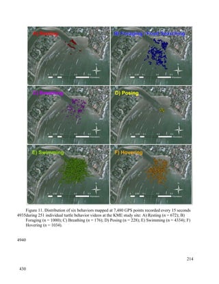 Figure 11. Distribution of six behaviors mapped at 7,480 GPS points recorded every 15 seconds
during 251 individual turtle behavior videos at the KME study site: A) Resting (n = 672); B)
Foraging (n = 1000); C) Breathing (n = 176); D) Posing (n = 228); E) Swimming (n = 4334); F)
Hovering (n = 1034).
214
4935
4940
430
 