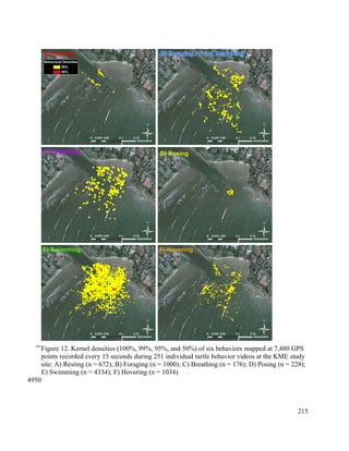 Figure 12. Kernel densities (100%, 99%, 95%, and 50%) of six behaviors mapped at 7,480 GPS
points recorded every 15 seconds during 251 individual turtle behavior videos at the KME study
site: A) Resting (n = 672); B) Foraging (n = 1000); C) Breathing (n = 176); D) Posing (n = 228);
E) Swimming (n = 4334); F) Hovering (n = 1034).
215
4945
4950
 