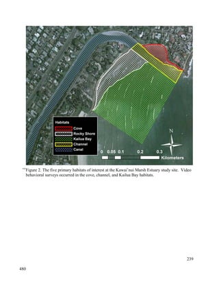 Figure 2. The five primary habitats of interest at the Kawai’nui Marsh Estuary study site. Video
behavioral surveys occurred in the cove, channel, and Kailua Bay habitats.
239
5505
480
 
