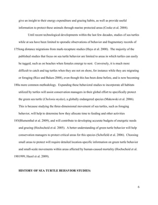 give an insight to their energy expenditure and grazing habits, as well as provide useful
information to protect these animals through marine protected areas (Cooke et al. 2004).
Until recent technological developments within the last few decades, studies of sea turtles
while at sea have been limited to sporadic observations of behavior and fragmentary records of
long distance migrations from mark-recapture studies (Hays et al. 2000). The majority of the
published studies that focus on sea turtle behavior are limited to areas in which turtles can easily
be tagged, such as on beaches when females emerge to nest. Conversely, it is much more
difficult to catch and tag turtles when they are not on shore, for instance while they are migrating
or foraging (Rice and Balazs 2008), even though this has been done before, and is now becoming
a more common methodology. Expanding these behavioral studies to incorporate all habitats
utilized by turtles will assist conservation managers in their global effort to specifically protect
the green sea turtle (Chelonia mydas), a globally endangered species (Makowski et al. 2006).
This is because studying the three-dimensional movement of sea turtles, such as foraging
behavior, will help to determine how they allocate time to feeding and other activities
(Blumenthal et al. 2009), and will contribute to developing accurate budgets of energetic needs
and grazing (Hochscheid et al. 2005). A better understanding of green turtle behavior will help
conservation managers to protect critical areas for this species (Schofield et al. 2006). Choosing
small areas to protect will require detailed location-specific information on green turtle behavior
and small-scale movements within areas affected by human-caused mortality (Hochscheid et al.
1999; Hazel et al. 2009).
HISTORY OF SEA TURTLE BEHAVIOR STUDIES:
6
175
180
185
190
 