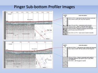 Pinger Sub-bottom Profiler Images
 