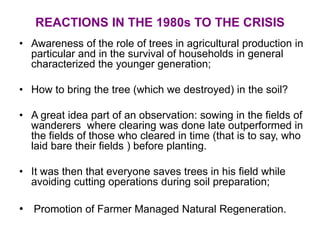 REACTIONS IN THE 1980s TO THE CRISIS
• Awareness of the role of trees in agricultural production in
particular and in the survival of households in general
characterized the younger generation;
• How to bring the tree (which we destroyed) in the soil?
• A great idea part of an observation: sowing in the fields of
wanderers where clearing was done late outperformed in
the fields of those who cleared in time (that is to say, who
laid bare their fields ) before planting.
• It was then that everyone saves trees in his field while
avoiding cutting operations during soil preparation;
• Promotion of Farmer Managed Natural Regeneration.
 
