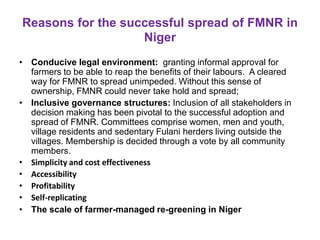 Reasons for the successful spread of FMNR in
Niger
• Conducive legal environment: granting informal approval for
farmers to be able to reap the benefits of their labours. A cleared
way for FMNR to spread unimpeded. Without this sense of
ownership, FMNR could never take hold and spread;
• Inclusive governance structures: Inclusion of all stakeholders in
decision making has been pivotal to the successful adoption and
spread of FMNR. Committees comprise women, men and youth,
village residents and sedentary Fulani herders living outside the
villages. Membership is decided through a vote by all community
members.
• Simplicity and cost effectiveness
• Accessibility
• Profitability
• Self-replicating
• The scale of farmer-managed re-greening in Niger
 