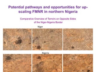Potential pathways and opportunities for up-
scaling FMNR in northern Nigeria
Comparative Overview of Terroirs on Opposite Sides
of the Niger-Nigeria Border
Niger
Nigeria
 