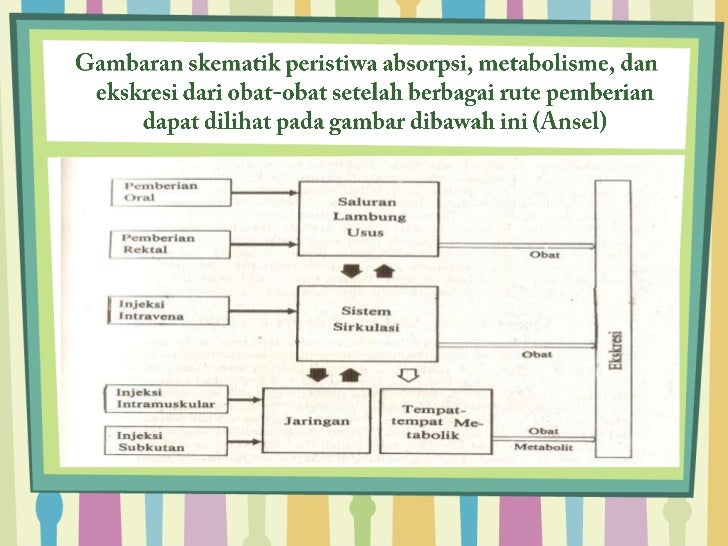 antibiotik 5 contoh obat samping, efek farmakokinetik, komplikasi antibiotik 5 contoh obat samping, efek farmakokinetik, komplikasi