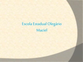 Escola Estadual Olegário 
Maciel 
 