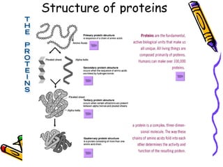Chapter 4 Nutrients Lesson 2 - Fats and proteins | PPT