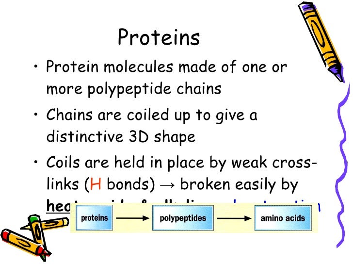 Chapter 4 Nutrients Lesson 2 - Fats and proteins
