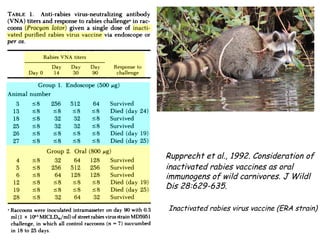 Rupprecht et al., 1992. Consideration of 
inactivated rabies vaccines as oral 
immunogens of wild carnivores. J Wildl 
Dis 28:629-635. 
Inactivated rabies virus vaccine (ERA strain) 
 
