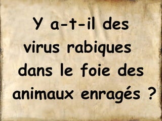 Y a-t-il des 
virus rabiques 
dans le foie des 
animaux enragés ? 
 