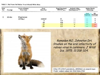 Ramsden RO, Johnston DH. 
Studies on the oral infectivity of 
rabies virus in carnivora. J Wildl 
Dis. 1975; 11:318-324. 
http://fr.123rf.com/photo_3652662_le-renard-roux- 
4-ans--vulpes-vulpes-de-fond-blanc.html 
 