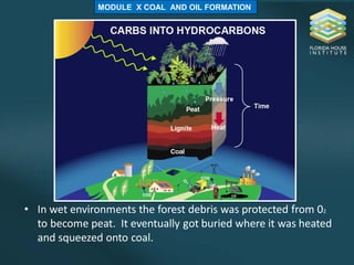 MODULE X COAL AND OIL FORMATION
• In wet environments the forest debris was protected from 02
to become peat. It eventually got buried where it was heated
and squeezed onto coal.
 