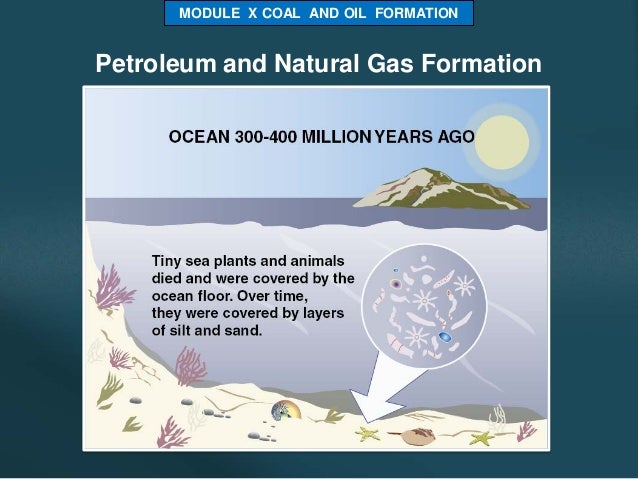 buy climate and land degradation environmental science