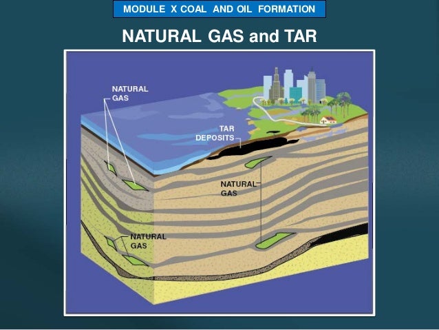 Environmental Diplomacy: Negotiating