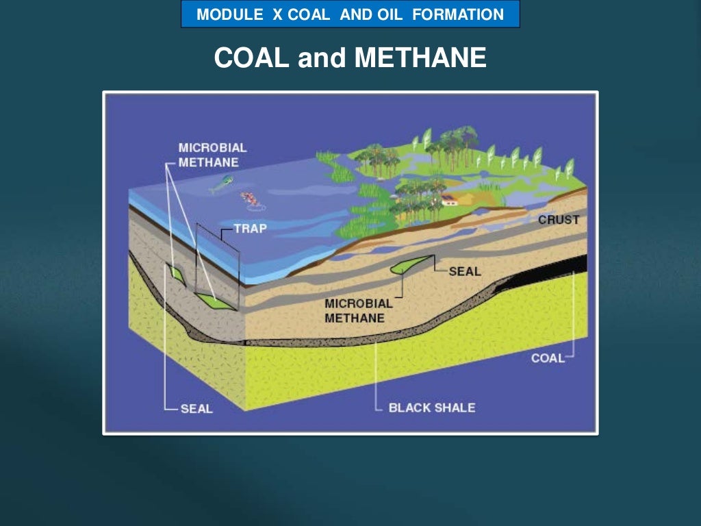 COAL AND OIL FORMATION