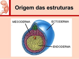 Origem das estruturasOrigem das estruturas
 