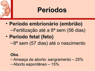 PeríodosPeríodos
• Período embrionário (embrião)
–Fertilização até a 8ª sem (56 dias)
• Período fetal (feto)
–8ª sem (57 dias) até o nascimento
Obs.
– Ameaça de aborto: sangramento – 25%
– Aborto espontâneo – 15%
 