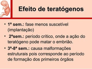 Efeito de teratógenosEfeito de teratógenos
• 1ª sem.: fase menos suscetível
(implantação)
• 2ªsem.: período crítico, onde a ação do
teratógeno pode matar o embrião.
• 3ª-8ª sem.: causa malformações
estruturais pois corresponde ao período
de formação dos primeiros órgãos
 