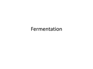 Fermentation
 