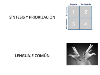 SÍNTESIS Y PRIORIZACIÓN 
LENGUAJE COMÚN 
 